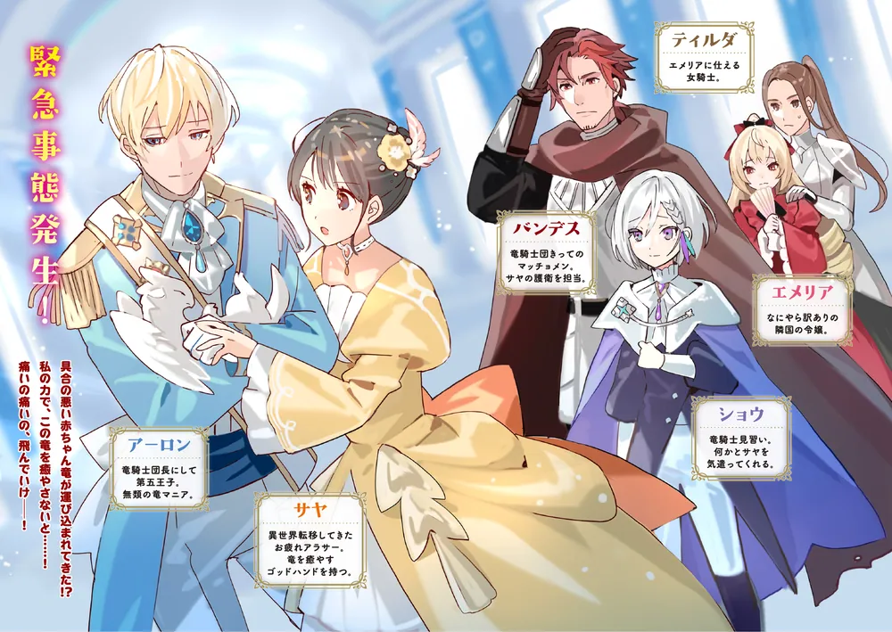 お疲れアラサーは異世界でもふもふドラゴンと騎士の世話をしています