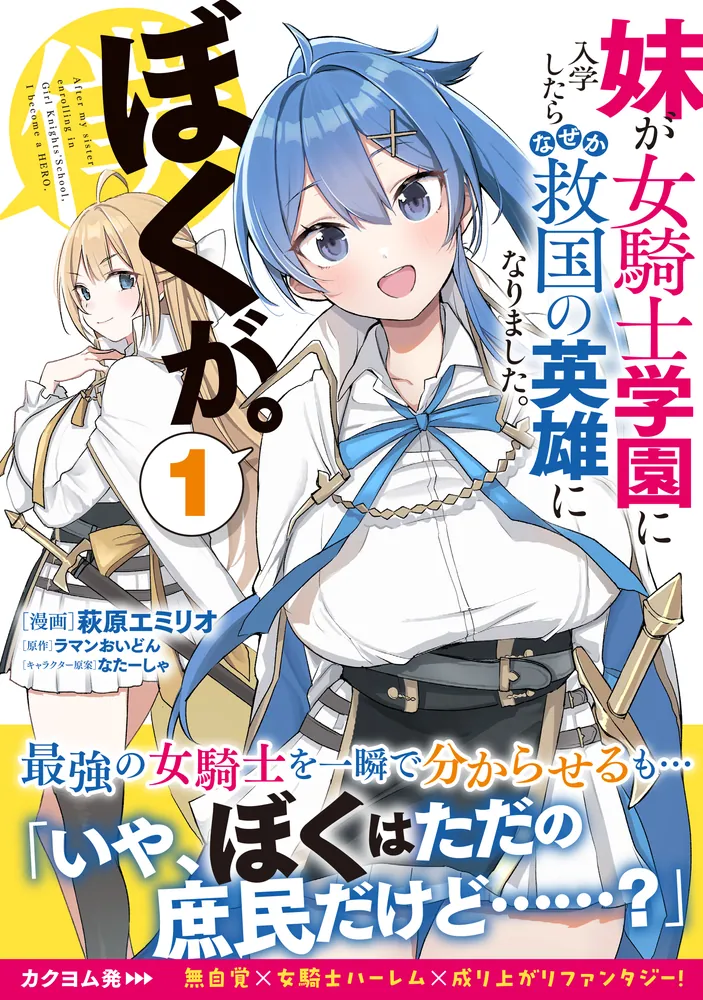 妹が女騎士学園に入学したらなぜか救国の英雄になりました。ぼくが。　ブックレット 妹が女騎士学園に入学したらなぜか救国の英雄になりました。ぼく