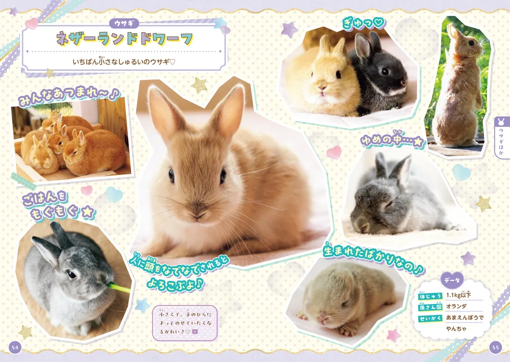 かわいいどうぶつだいしゅうごう もふもふいっぱいずかん」小宮輝之