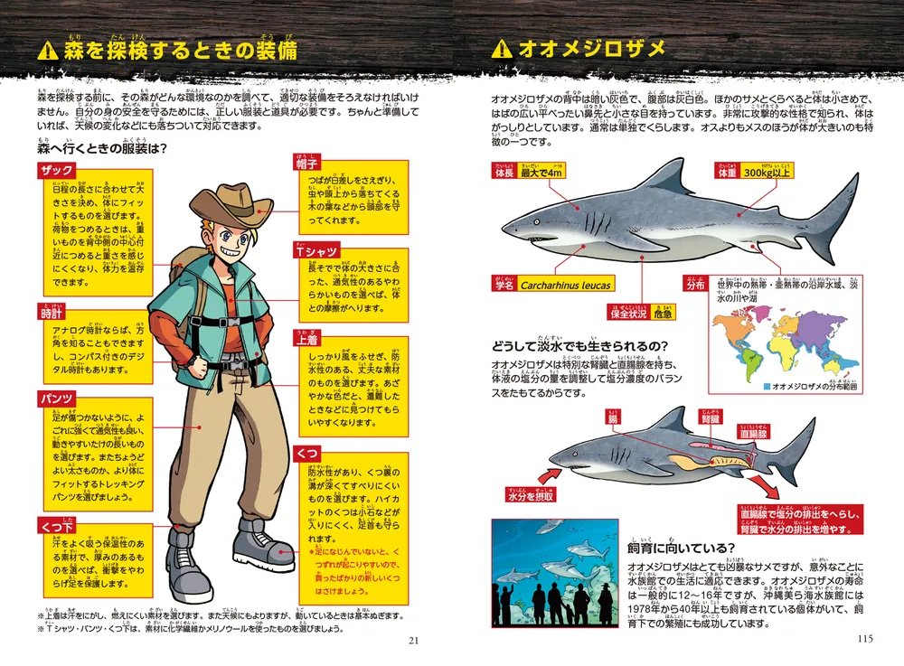どっちが強い!?W オオメジロザメの襲撃」川口拓 [角川まんが学習