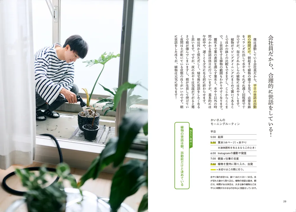 観葉植物男子 会社員が200株と暮らしてわかった、枯らさないコツ」かい