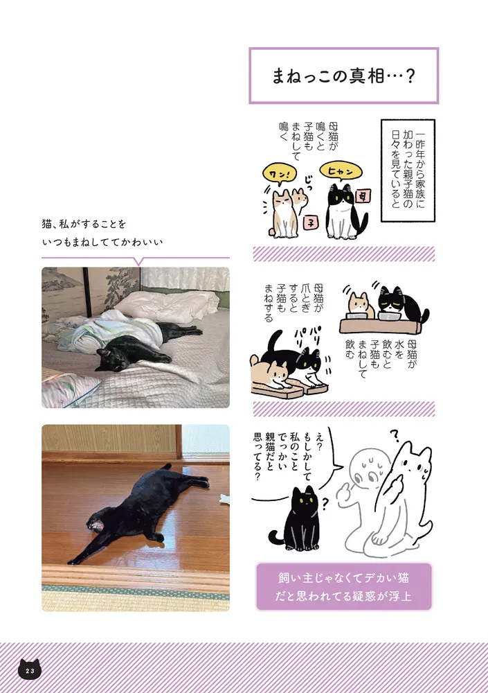 黒猫アイランドさん 伝説の億トレーダー 手法本 美本 セット 黒