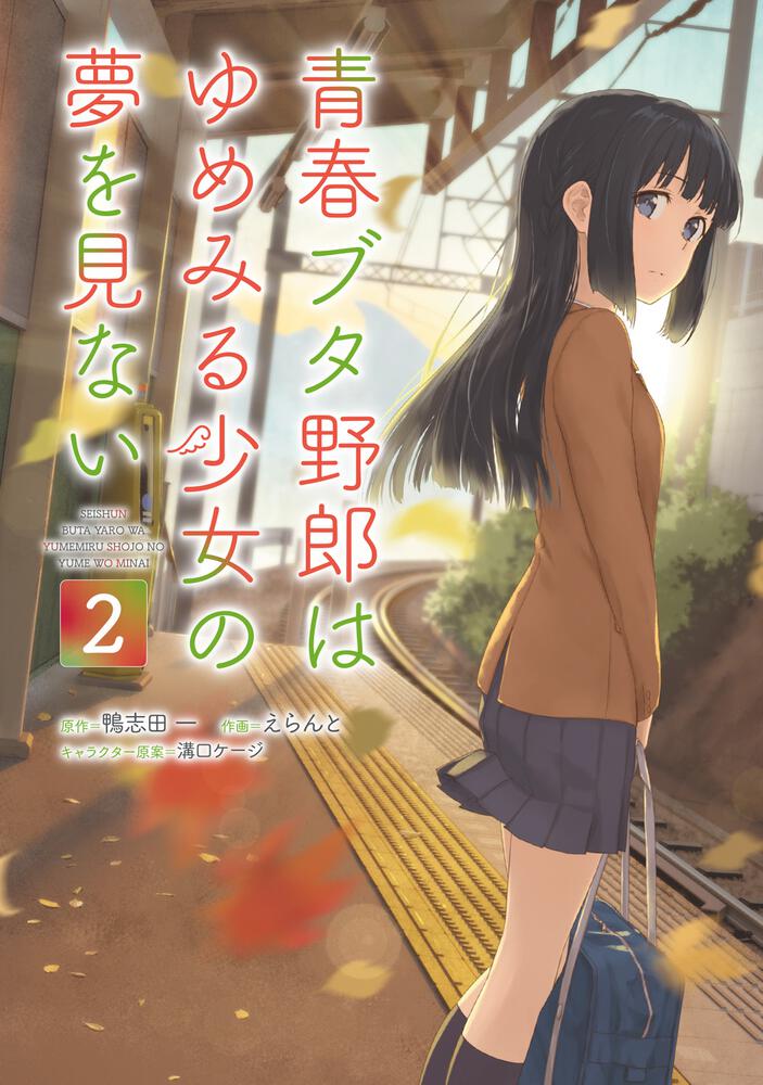 青春ブタ野郎はゆめみる少女の夢を見ない２