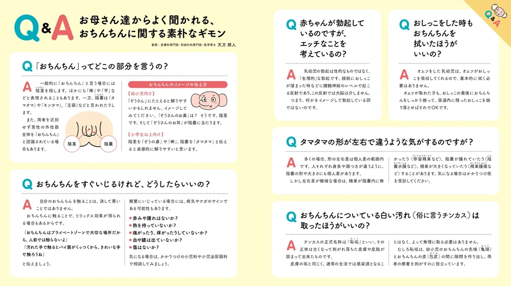 小学生勃起おちんちん写真 ぞうちんとぱんつのくに」ゆままま [絵本] - KADOKAWA