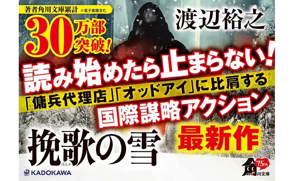 【小説】【全帯】　傭兵代理店　シリーズ全28巻セット　渡辺裕之 小説】【全帯】 傭兵代理店 シリーズ全28巻セット 渡辺裕之 Amazon.co