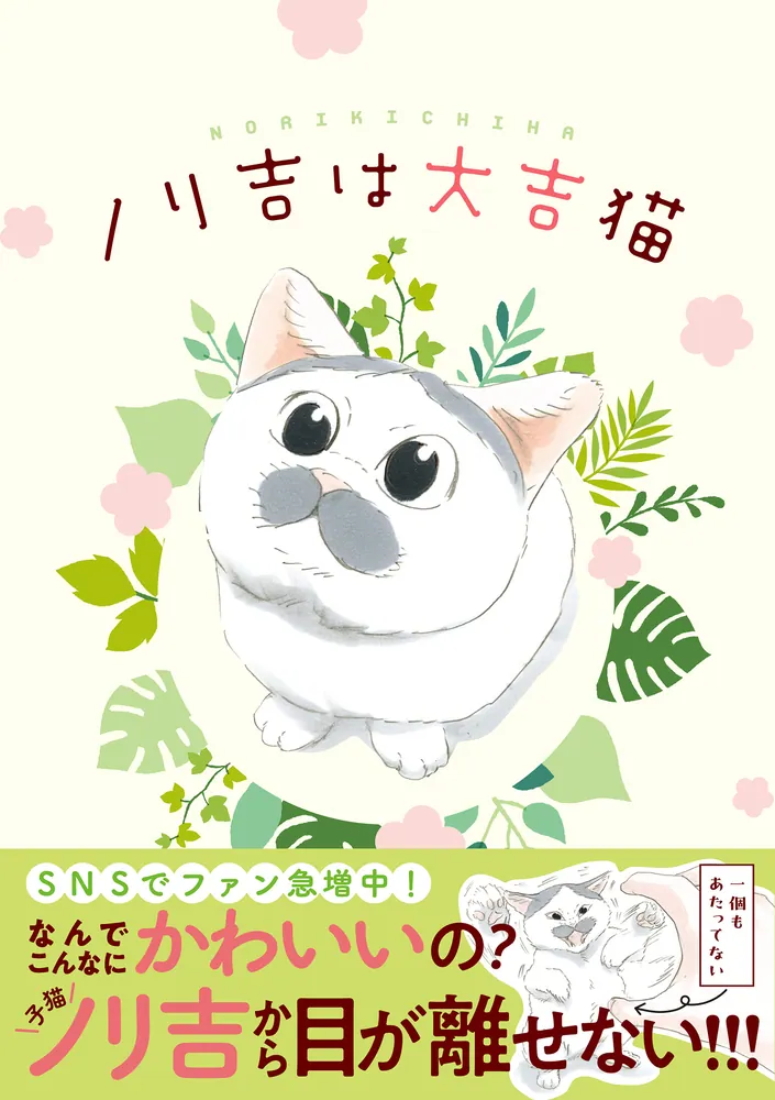 ノリ吉は大吉猫」にごたろ [コミックエッセイ] - KADOKAWA