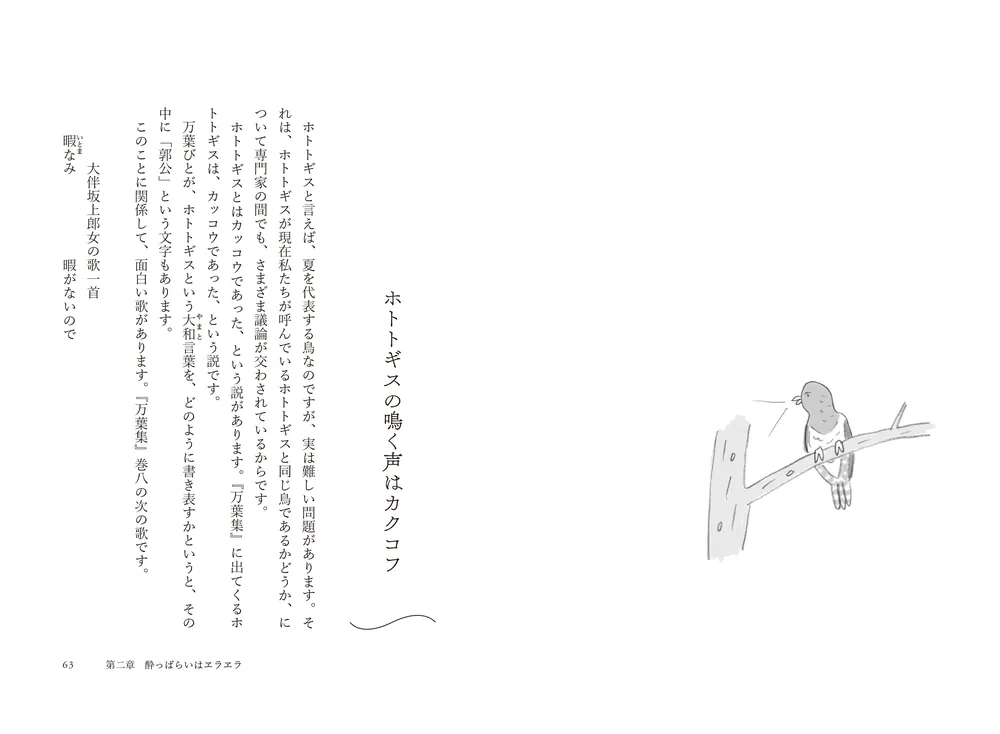 ヒマラヤ＜あかね書房＞【ヒマラヤ名著全集】１０冊＜全１２巻＝第４巻・１２巻欠け＞ Kilty BOOKS / SAUNTER Magazine (@sauntermag.japan