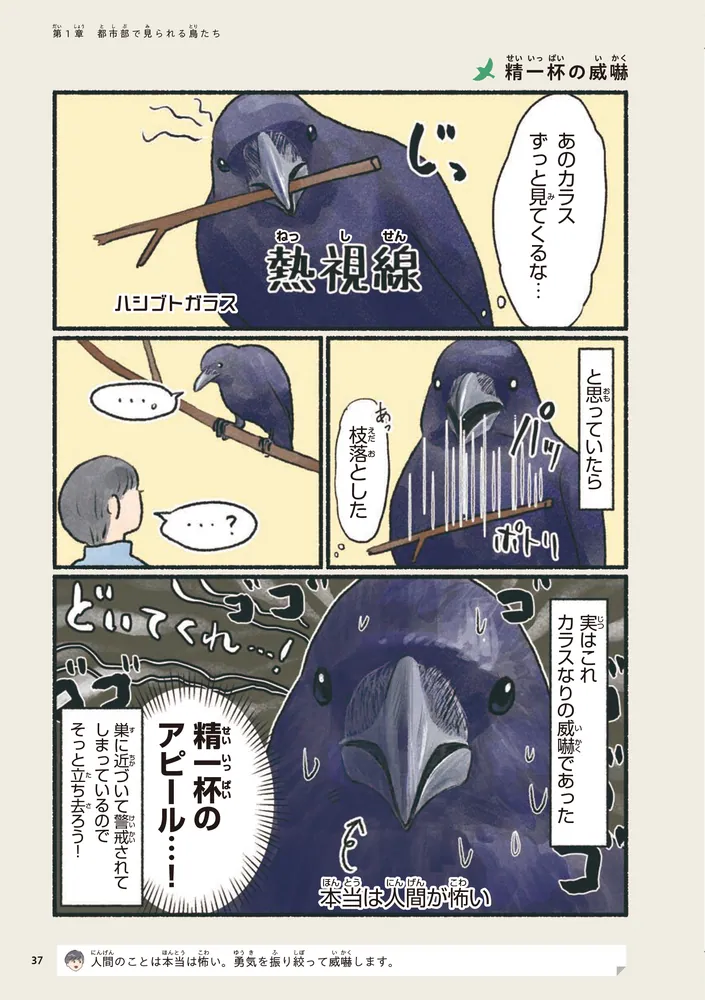 意外と知らない鳥の生活」piropiropiccolo [コミックエッセイ