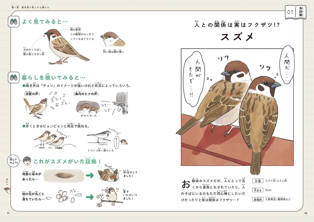 SHOREBIRDS IN JAPAN 日本のシギ・チドリ (@nobushorebird) / X