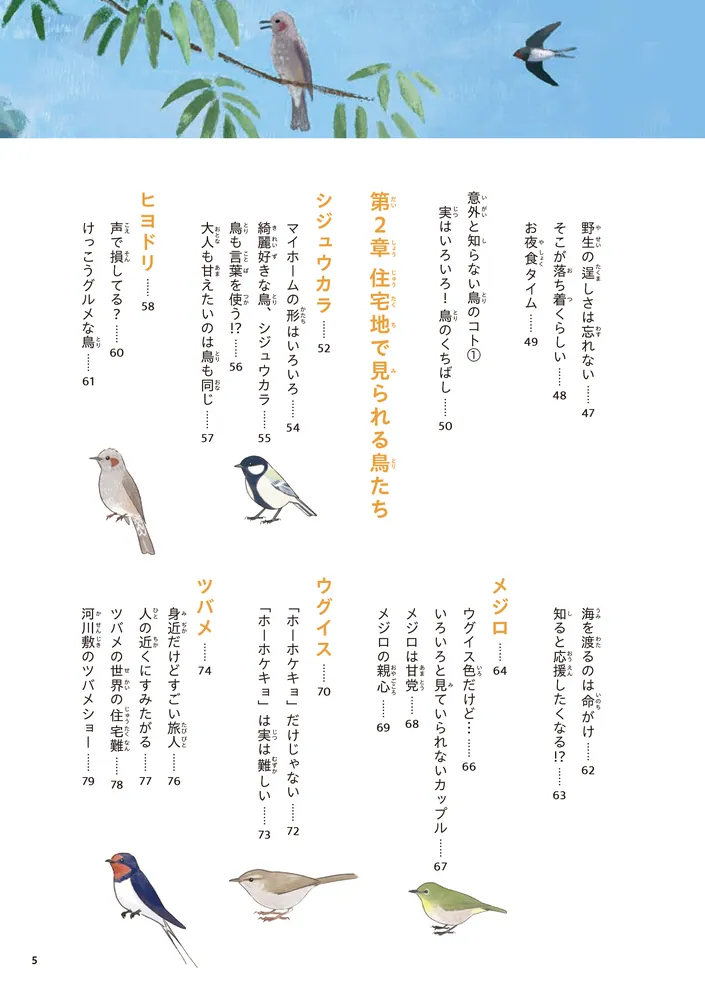 意外と知らない鳥の生活」piropiropiccolo [コミックエッセイ] - KADOKAWA