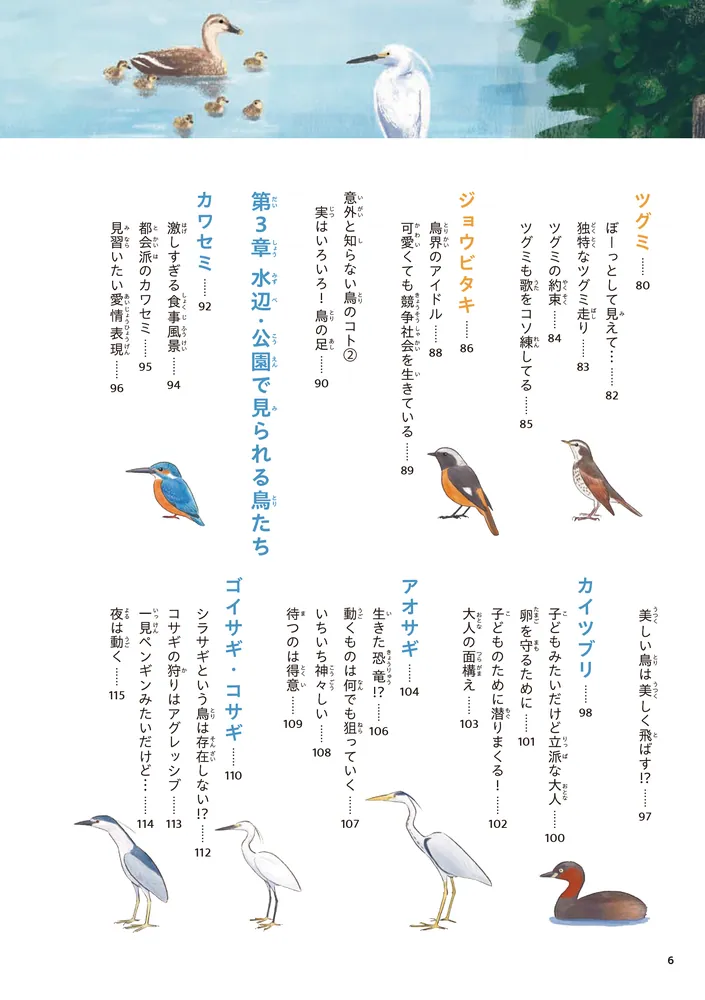[雰囲気のある鳥のイラスト]チェコの古い鳥類図鑑(1962年)/鳥図鑑 雰囲気◎ 割引本・雑誌・漫画 - [雰囲気のある鳥のイラスト]チェコの古い