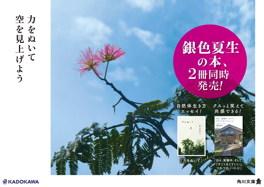 力をぬいて」銀色夏生 [角川文庫] - KADOKAWA