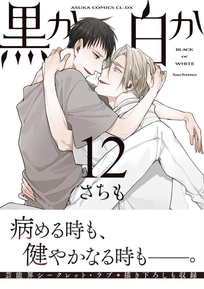 黒か白か　第1２巻