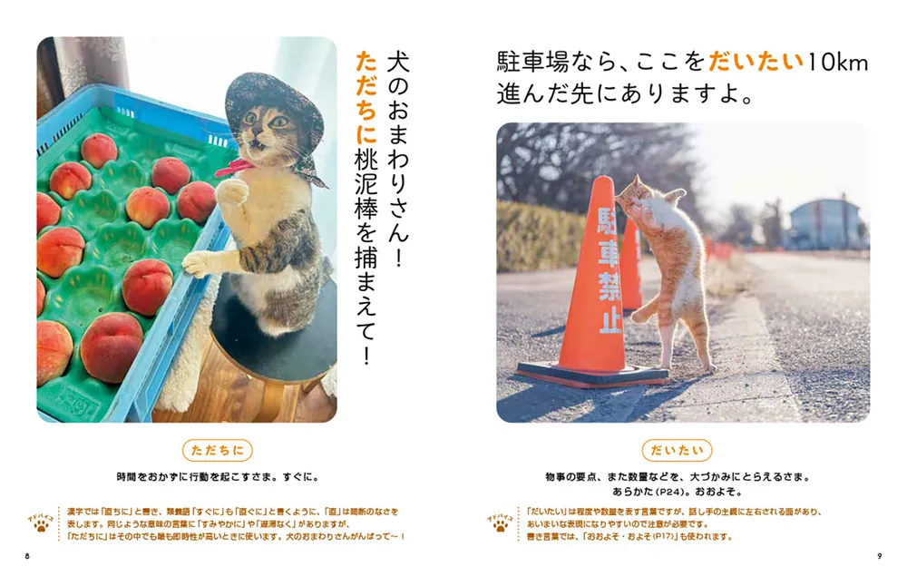 文系用大学参考書 ほぼ全て書き込んであります 返品不可です 2024年版】大学受験用国語参考書のおすすめ21選！漢文や古文も