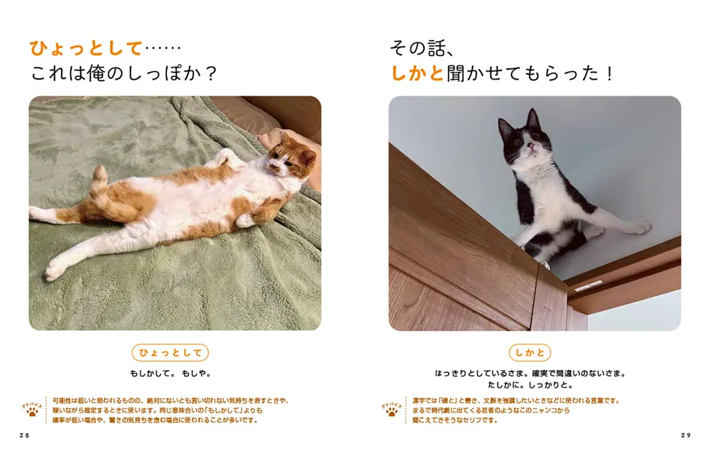 にゃるほど！ コミュ力UP語彙辞典」本多正識 [生活・実用書