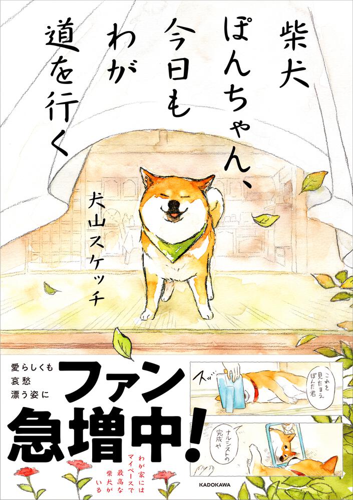 柴犬ぽんちゃん、今日もわが道を行く