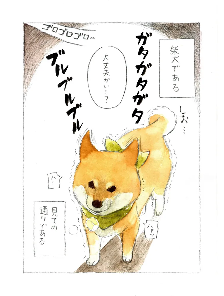 柴犬ぽんちゃん、今日もわが道を行く」犬山スケッチ [コミック