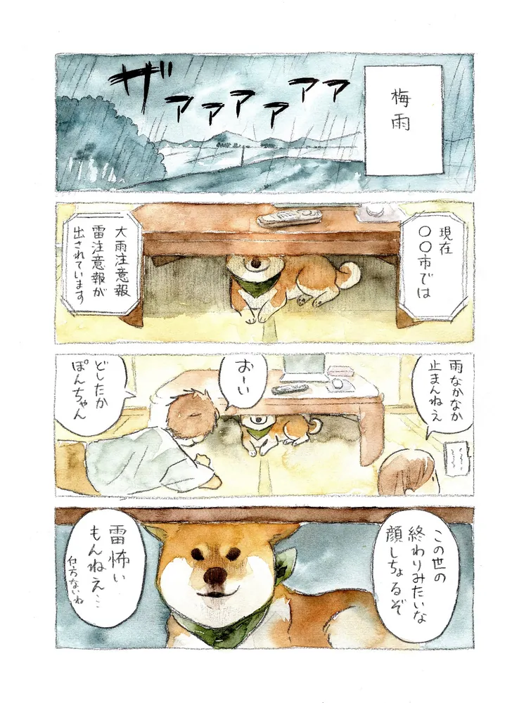 わんちゃんページ YouTube