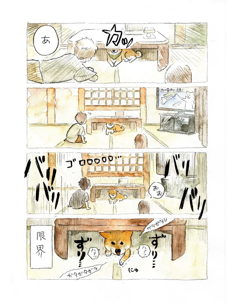 柴犬ぽんちゃん、今日もわが道を行く | 犬山 スケッチ |本