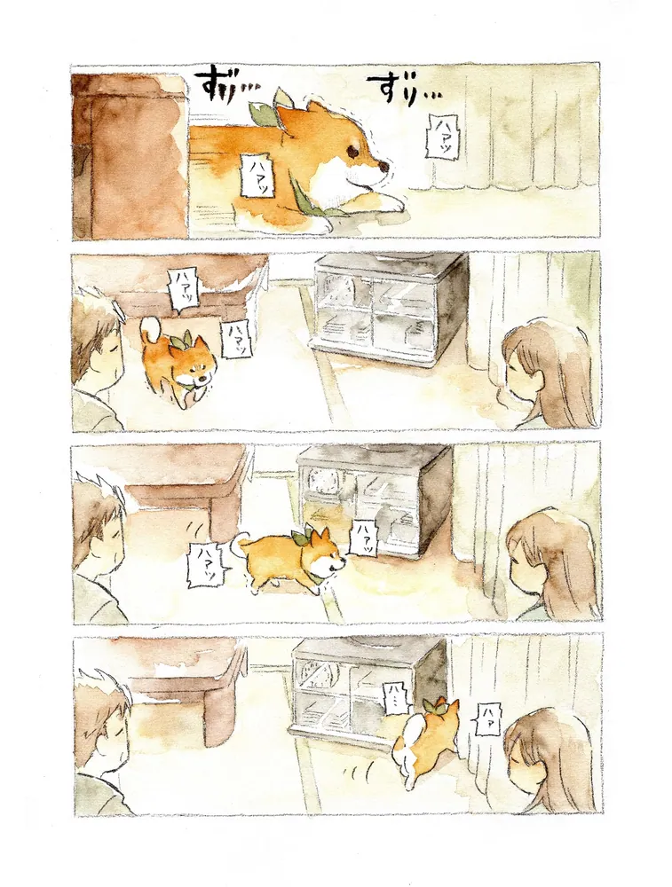 爆買いしたくなる 柴犬ぽんちゃん、今日もわが道を行く」犬山スケッチ [コミック クラフト・工芸