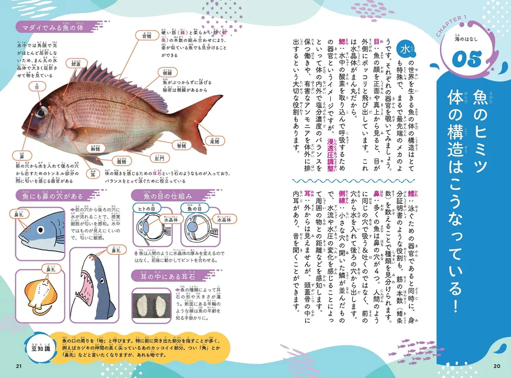 水の世界のひみつがわかる！ すごすぎる海の生物の図鑑」鈴木