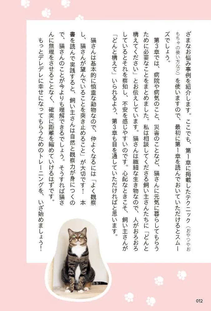 ねこページ ねこのあいうえお あそぶため うまれてきたのさ ぼくはねこ | 石津