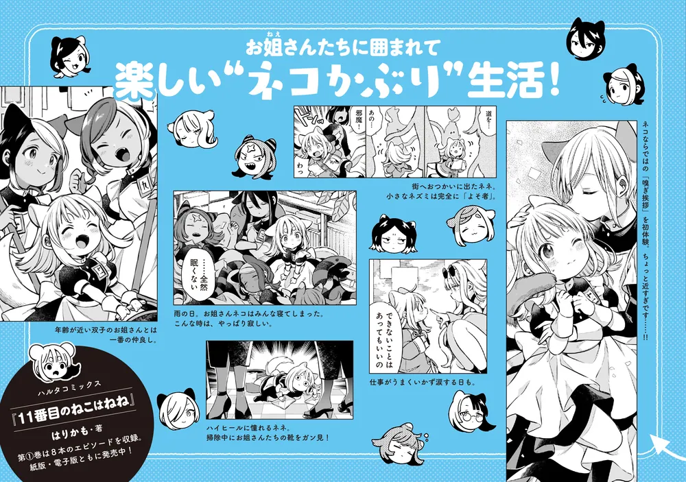 11番目のねこはねね 1」はりかも [ハルタコミックス] - KADOKAWA