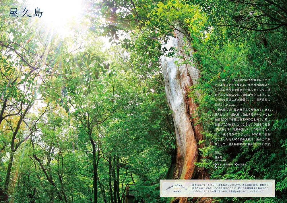 見るだけで運気があがる世界遺産」村野弘味 [生活・実用書] - KADOKAWA