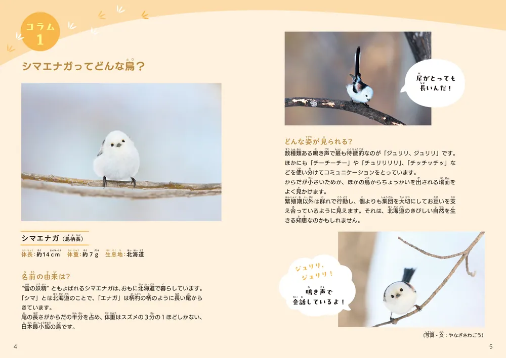 もふもふいっぱい！ シマエナガのまちがいさがし」shimizu [児童書