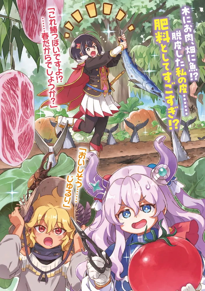 竜王さまの気ままな異世界ライフ2 最強ドラゴンと竜界からの来訪者