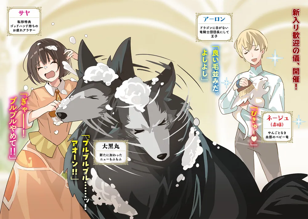 お疲れアラサーは異世界でもふもふドラゴンと騎士の世話をしています 1 お疲れアラサーは異世界でもふもふドラゴンと騎士の世話をしてい