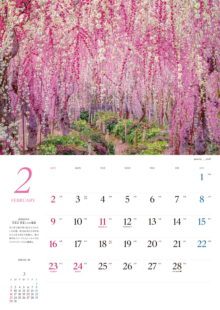 マドンナ　カレンダーポスター MADONNA CALENDAR 2025 LARGE ( 297mm X 420mm ) WALL A3 SIZE