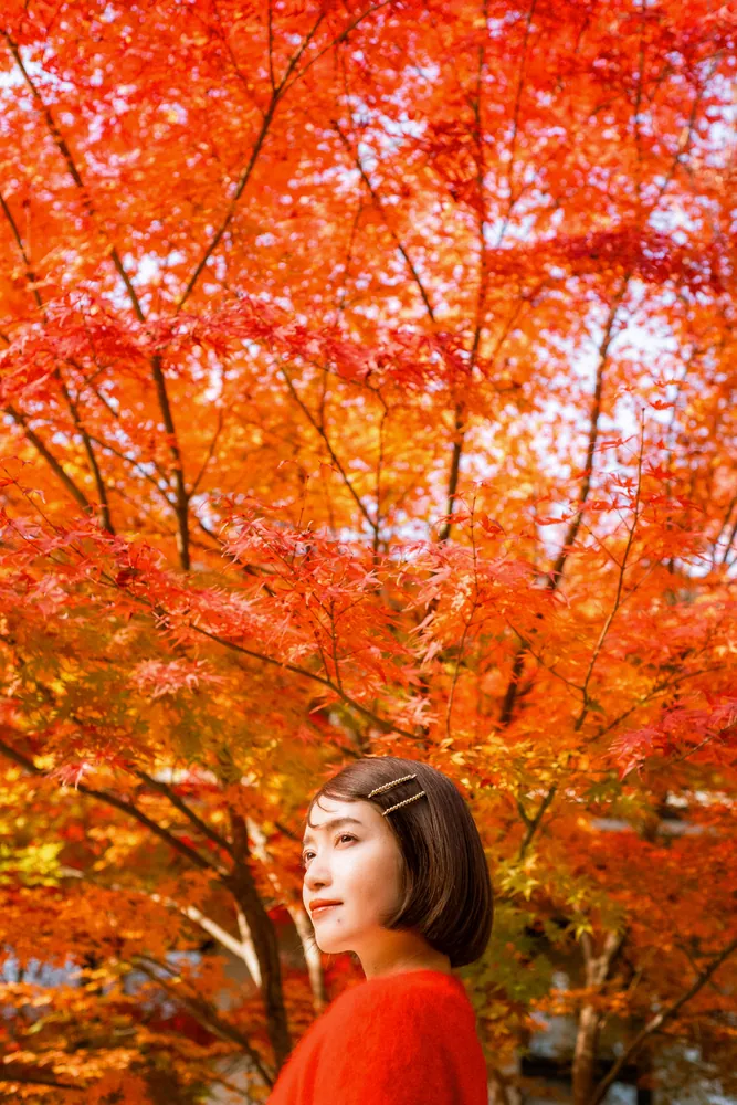 カラー京都　京のみどころ・味どころ　No.43　京美観光出版社 カラー京都 京のみどころ・味どころ No.43 京美観光出版社