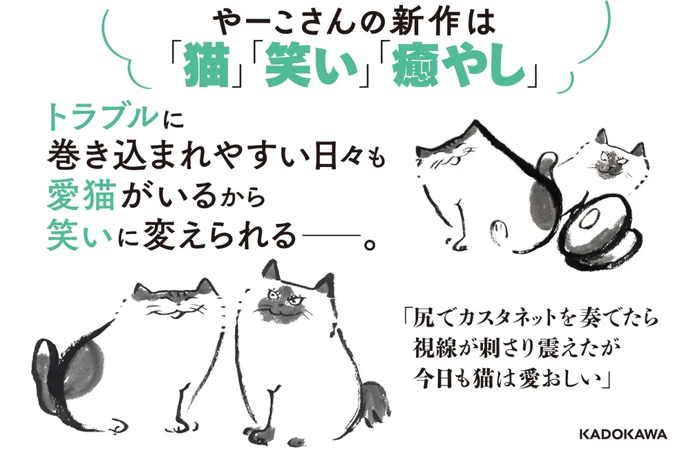 尻でカスタネットを奏でたら視線が刺さり震えたが今日も猫は愛おしい