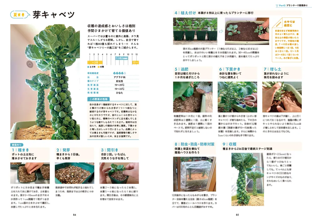 傘袋でジッパー袋で！ 最高においしい野菜が1年中、楽しく作れる本