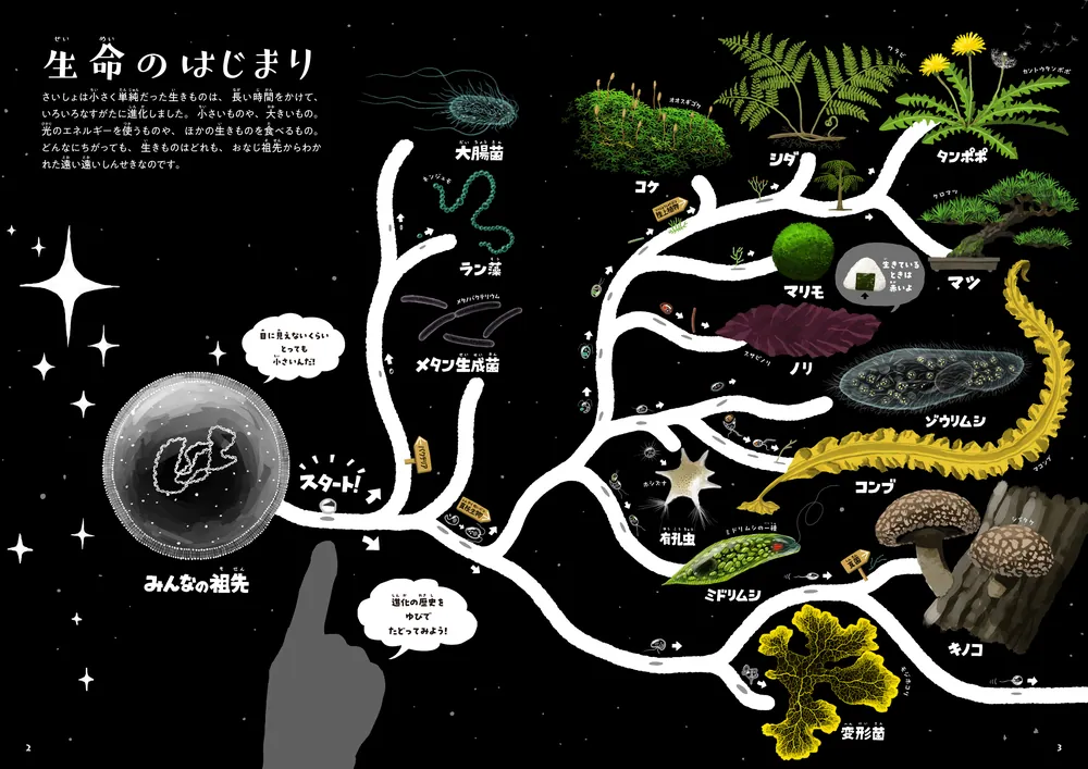 ゆびでたどる進化のえほん」三上智之 [児童書] - KADOKAWA