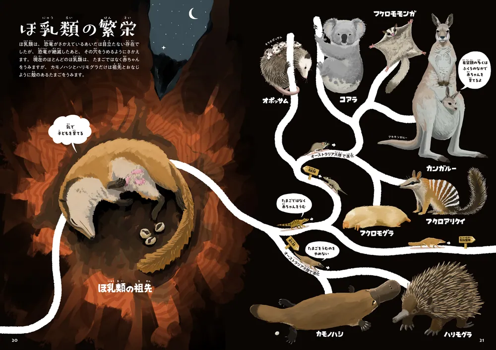 ゆびでたどる進化のえほん」三上智之 [児童書] - KADOKAWA