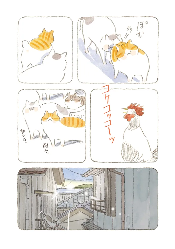 ねことじいちゃん（11）」ねこまき(ミューズワーク) [コミック