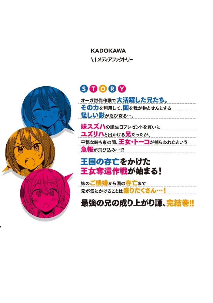 妹が女騎士学園に入学したらなぜか救国の英雄になりました。ぼくが。3 
