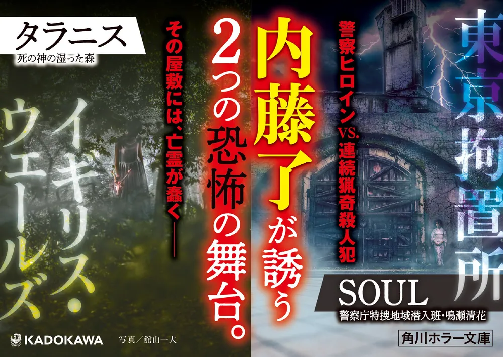 SOUL 警察庁特捜地域潜入班・鳴瀬清花」内藤了 [角川ホラー文庫