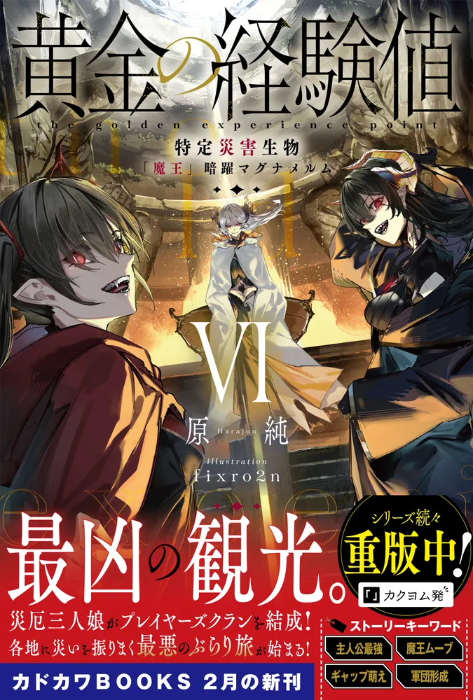 訳あってお買い得！30～80％OFF 黄金の経験値 VI 特定災害生物「魔王」暗躍マグナメルム」原純 文学・小説