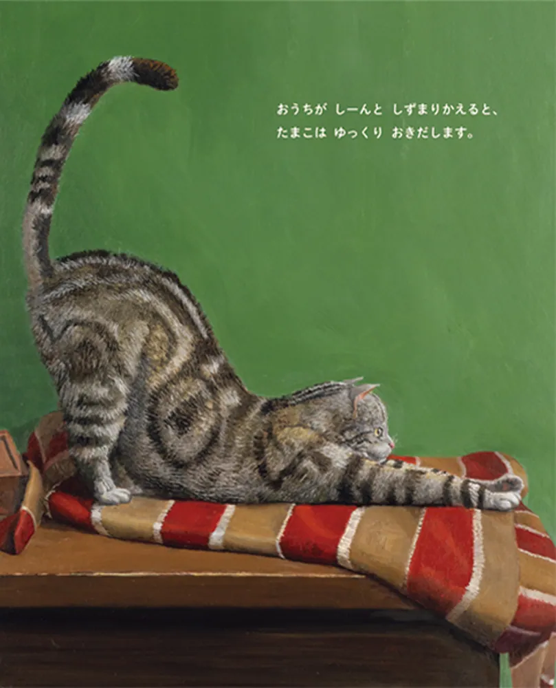 A5判、猫の絵です。 滲みで描くねこ【新装版】 - 日貿出版社