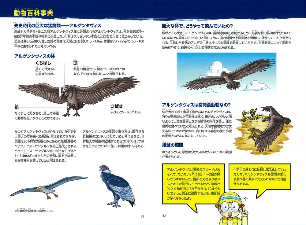 ルトワックから学ぶ究極の戦略 どっちが強い!? 大空の究極バトル まぼろしの巨大ワシあらわる