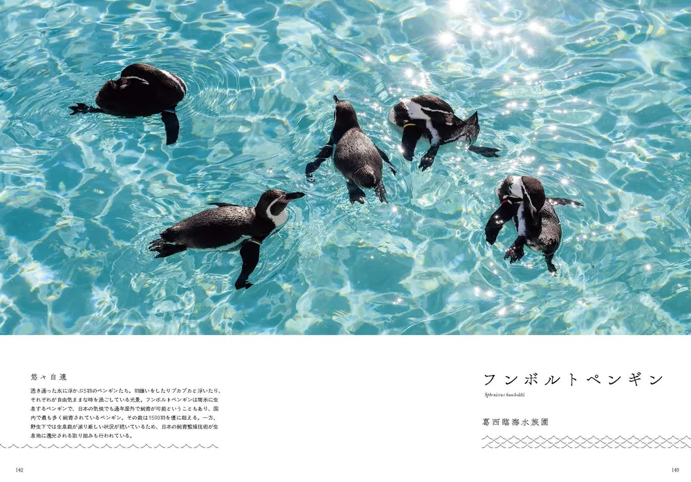 沈黙と卵たち　1/10 限定10部　インテリア　室内　絵画　版画　装飾 Amazon.co.jp: Joan Miroジョアンミロ《オランダの室内