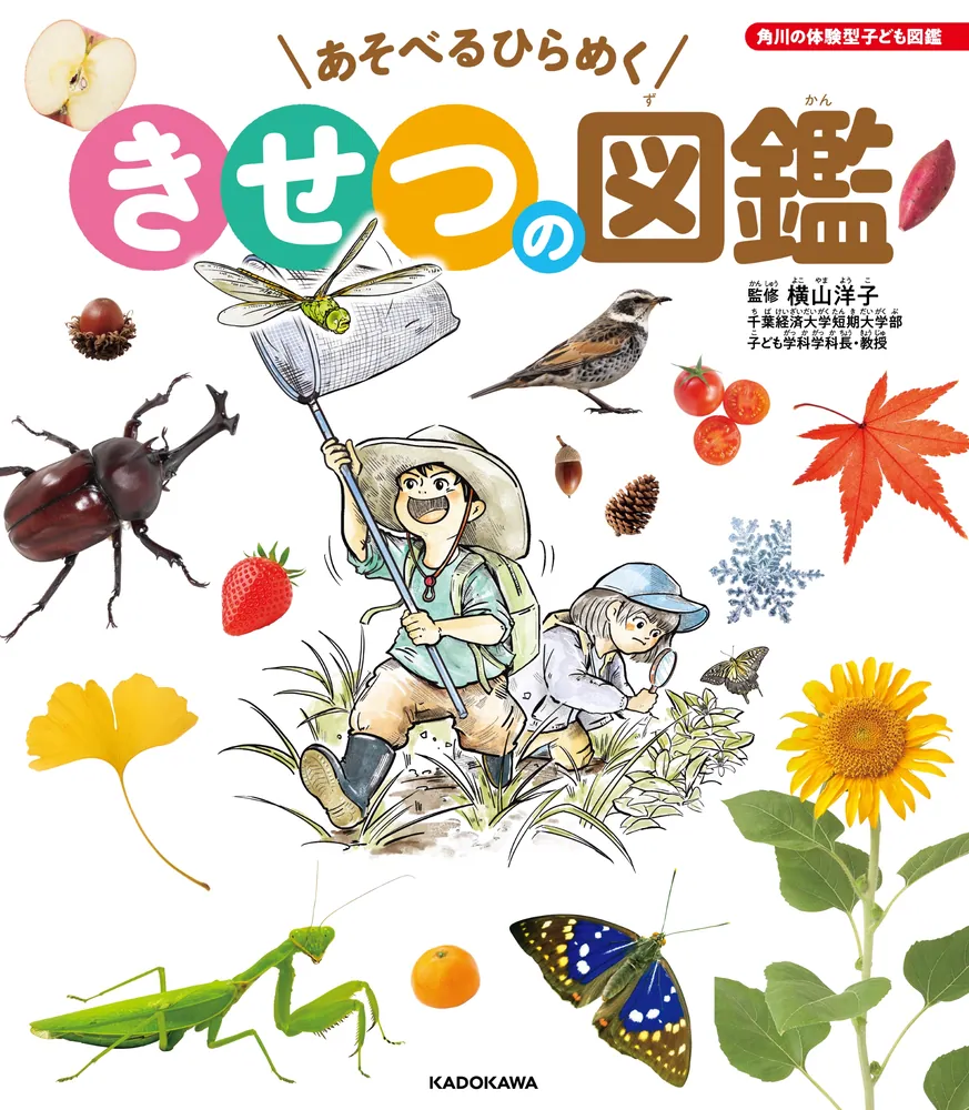 カラー版こどもの季節　ほるぷ出版　全12巻　図鑑　知育 カラー版こどもの季節 ほるぷ出版 全12巻 図鑑 知育 カラー版
