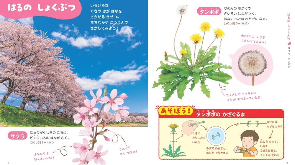 つぼみのずかん　３巻セット つぼみのずかん 3巻セット つぼみ・みとたね・はっぱ これ、なんのは