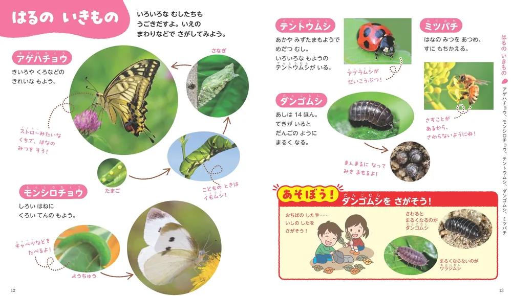 角川の体験型子ども図鑑 あそべるひらめく きせつの図鑑」横山洋子