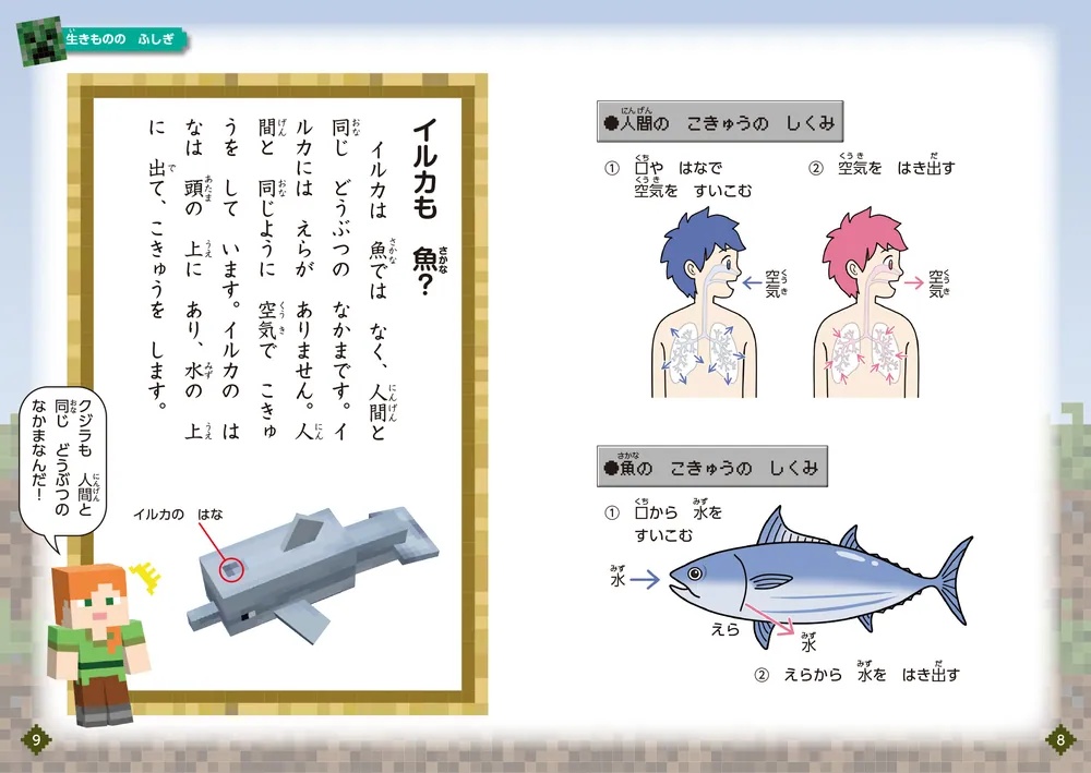 小学高学年以上向け 伝記・選定・推薦図書あり 児童書 小説 32冊