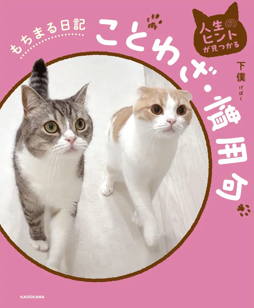 日本語「ことわざ」の達人 ドズル社【公式】 on X: 