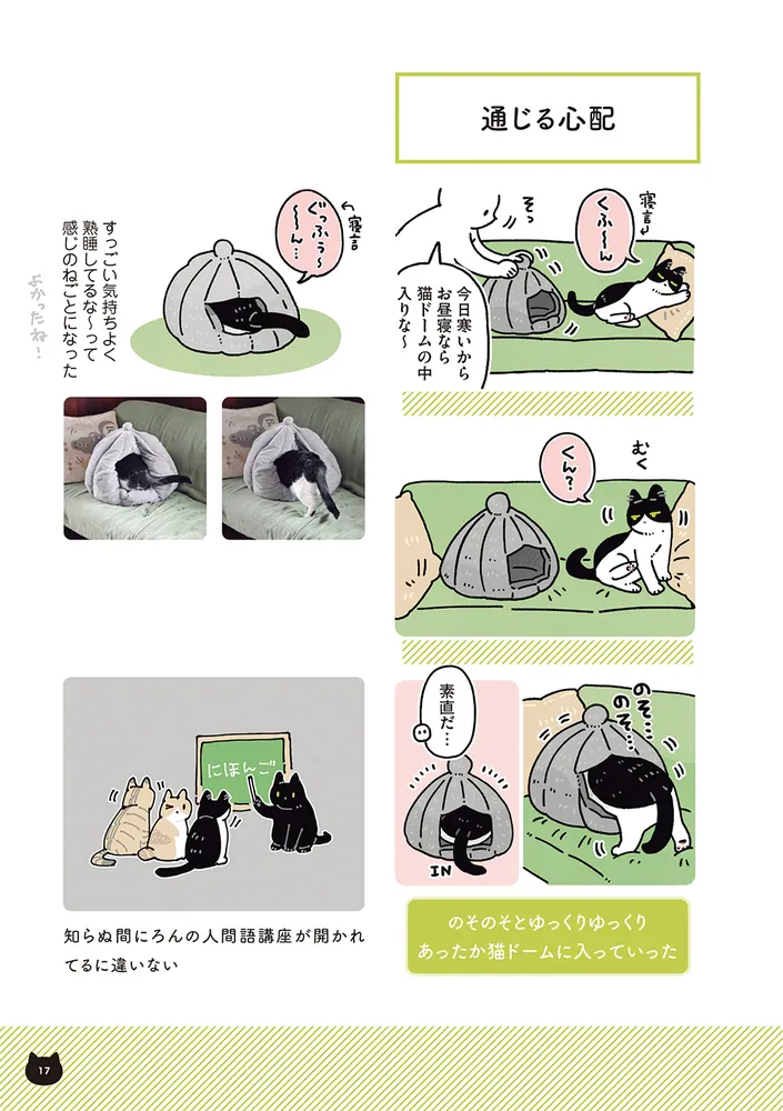 黒猫ろんと暮らしたら7」AKR [コミックエッセイ] - KADOKAWA